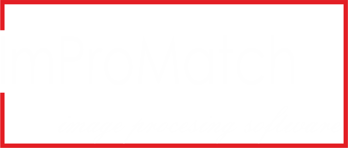 Impromatch logo